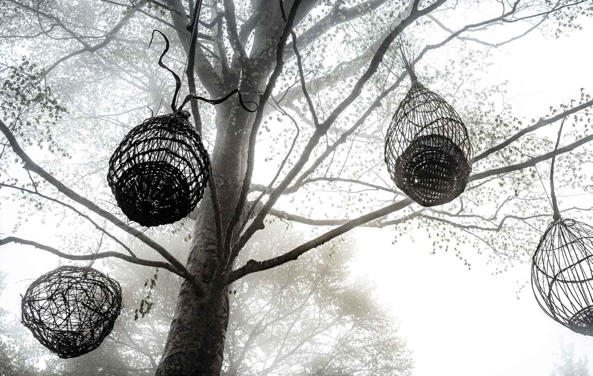 Fabien Rabin