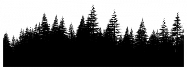 foret3