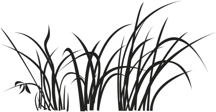 herbes