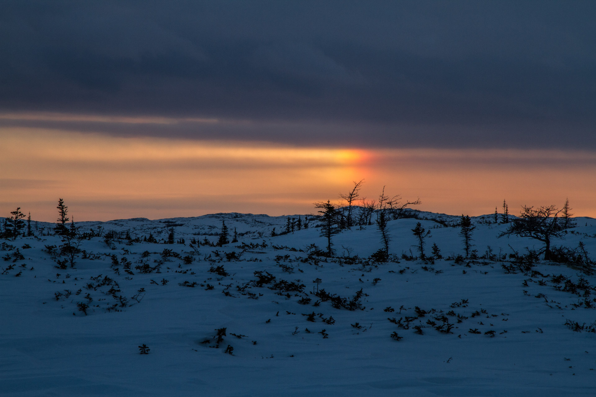 MAT_DELAUNAY_QUEBEC-9994