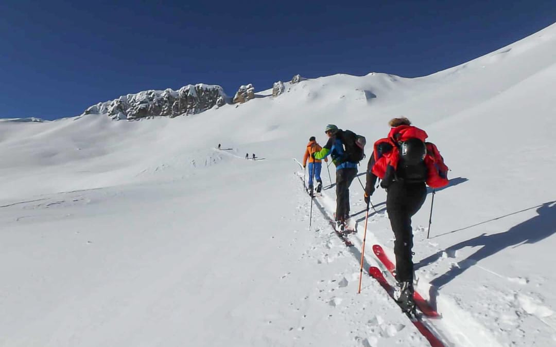 Éco-gardes hivernaux dans le Parc du Queyras : un nouveau métier pour sensibiliser ski aux pieds
