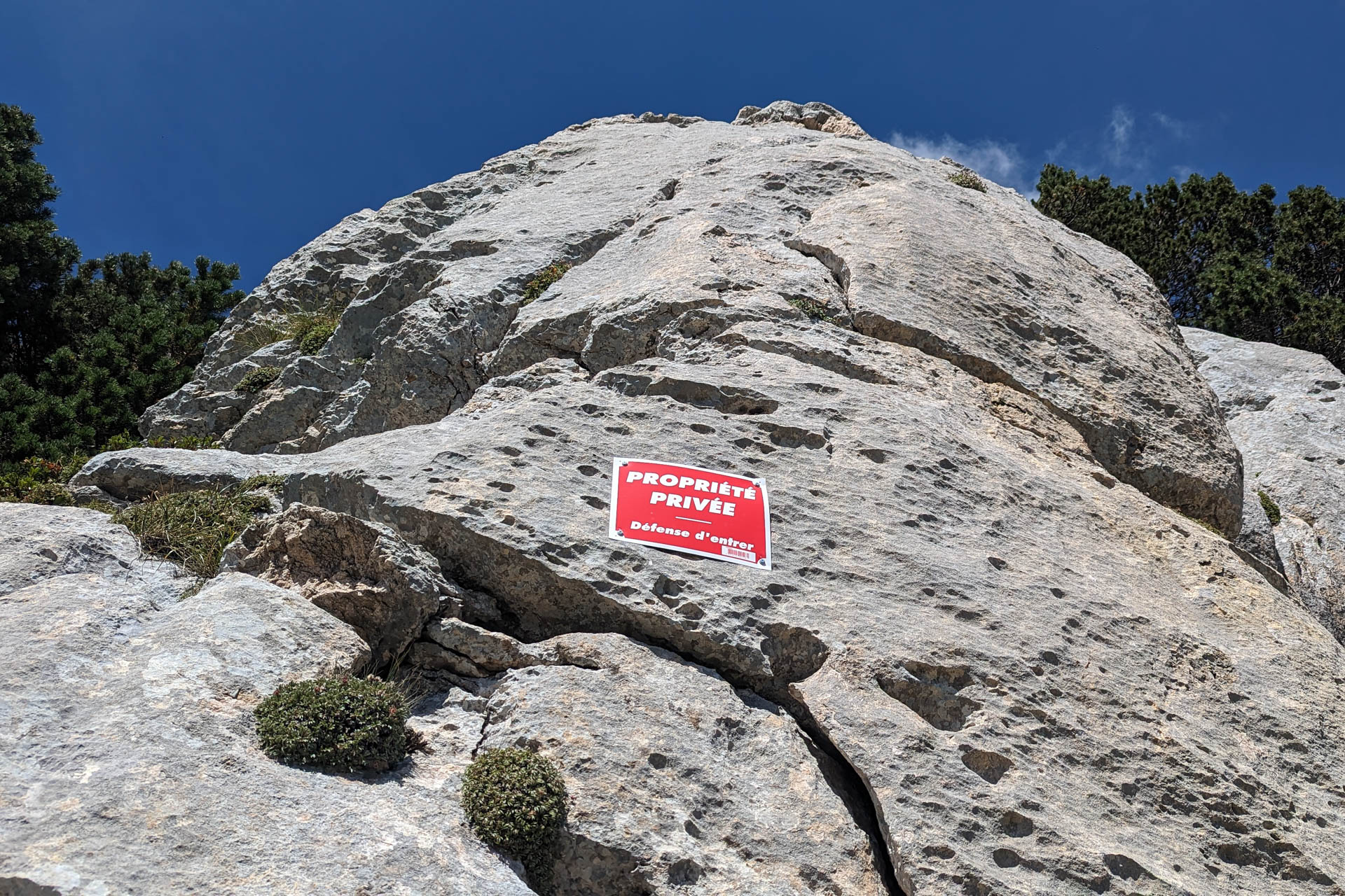 cariou_reservenaturellechartreuse-111054382