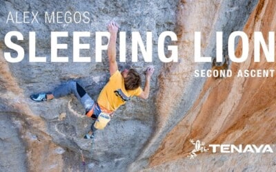 Escalade : la vidéo d’Alex Megos dans Sleeping Lion qu’il réévalue à 9b