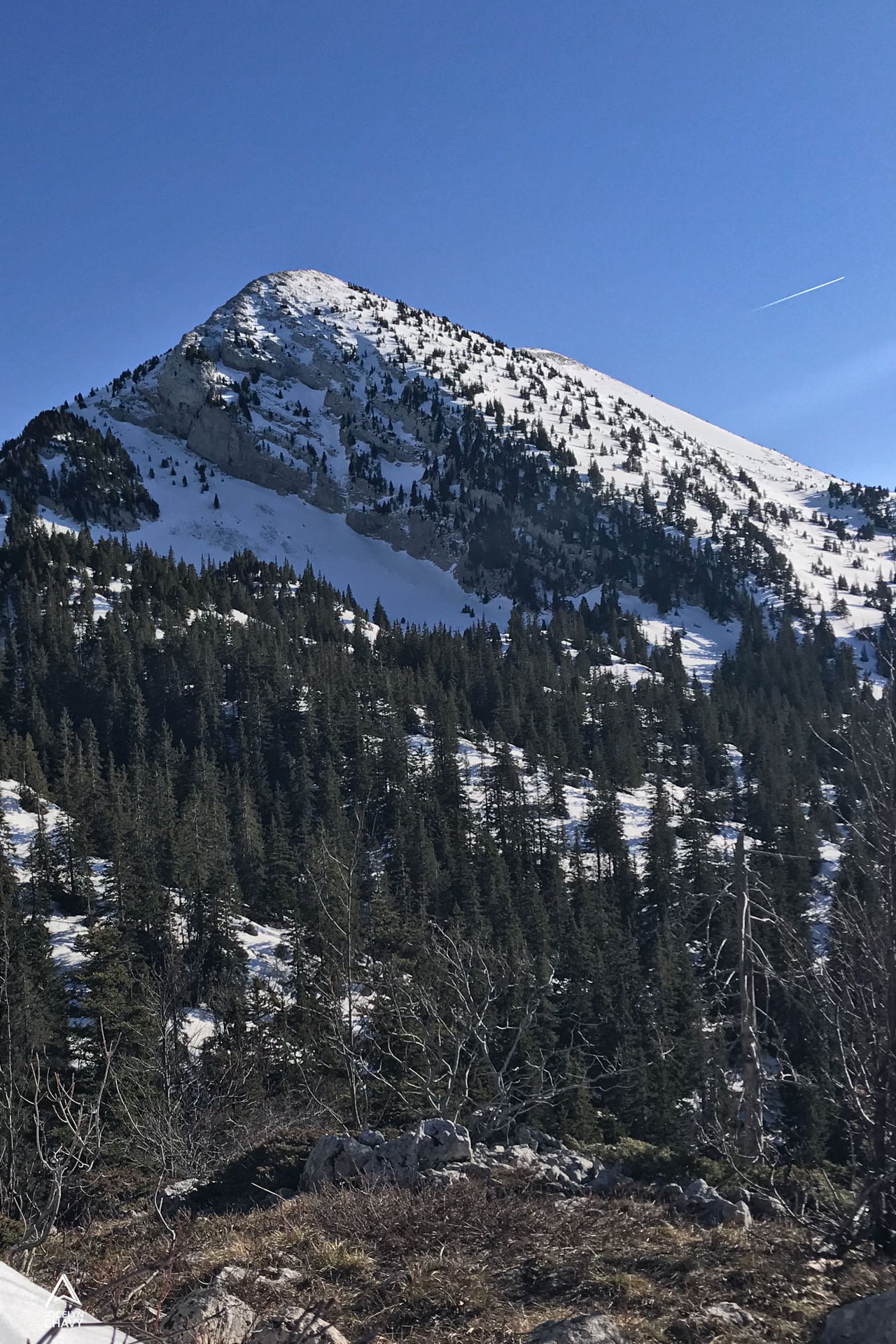 jocelynchavy_vercors-9262