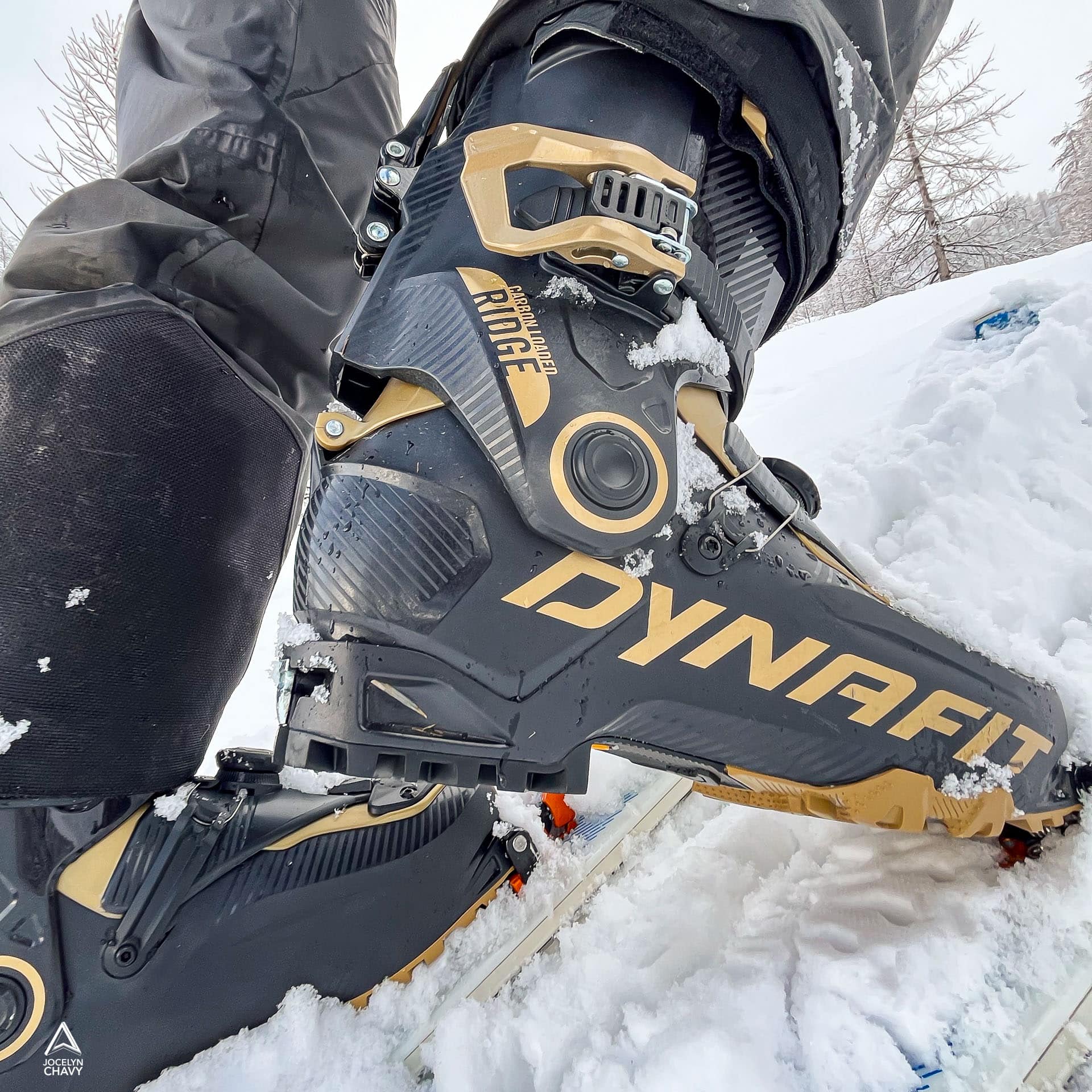alpinemag_dynafit_ridge-2534