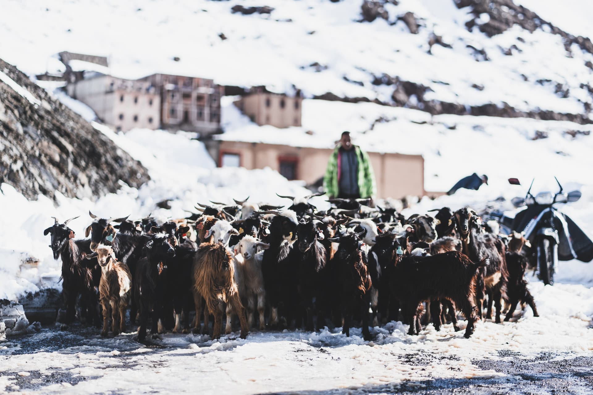 maroc_borgnet-07137