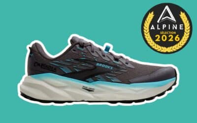 Chaussures de trail Brooks Cascadia 19