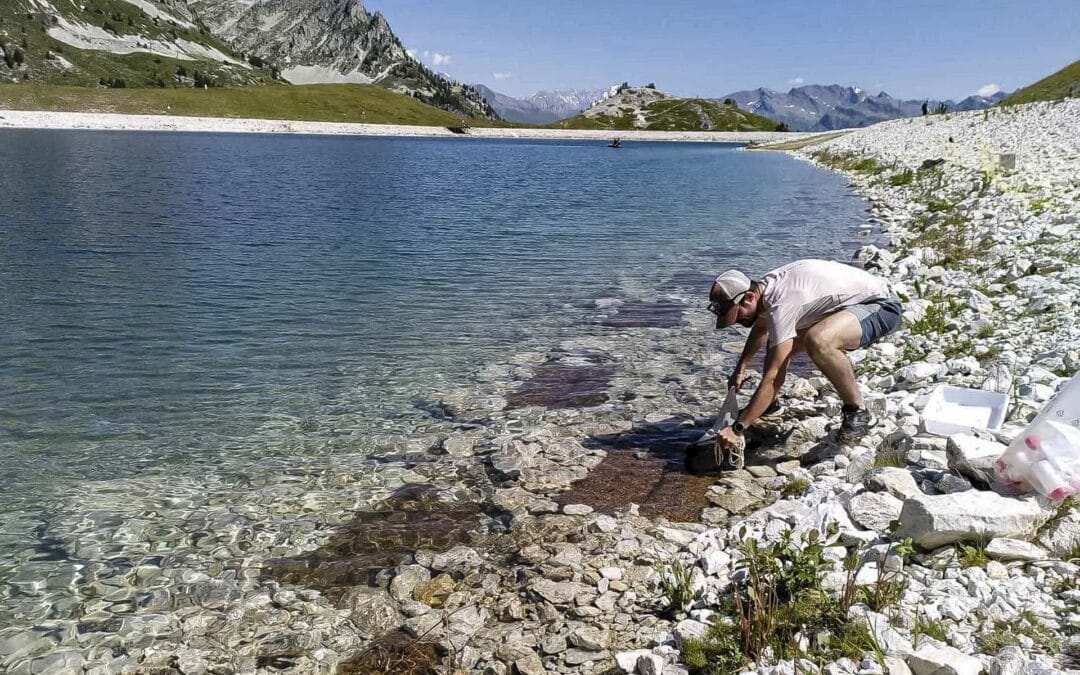 Aux Arcs, une expérience pour rendre les retenues d’altitude plus favorables à la biodiversité