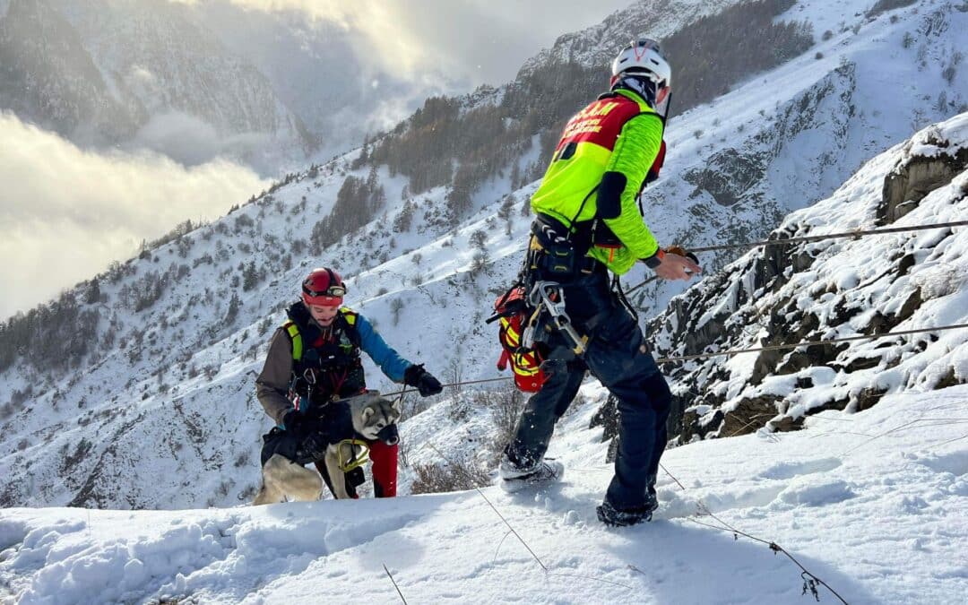 Chiens coincés en paroi, brebis en perdition : ces bénévoles qui sauvent les animaux en montagne